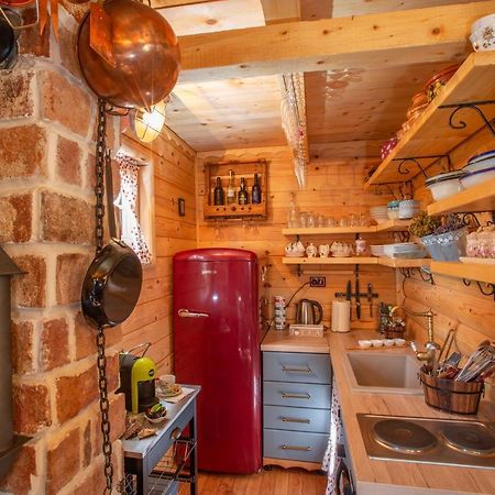 Villa Piccolo Orso Žabljak Exteriér fotografie