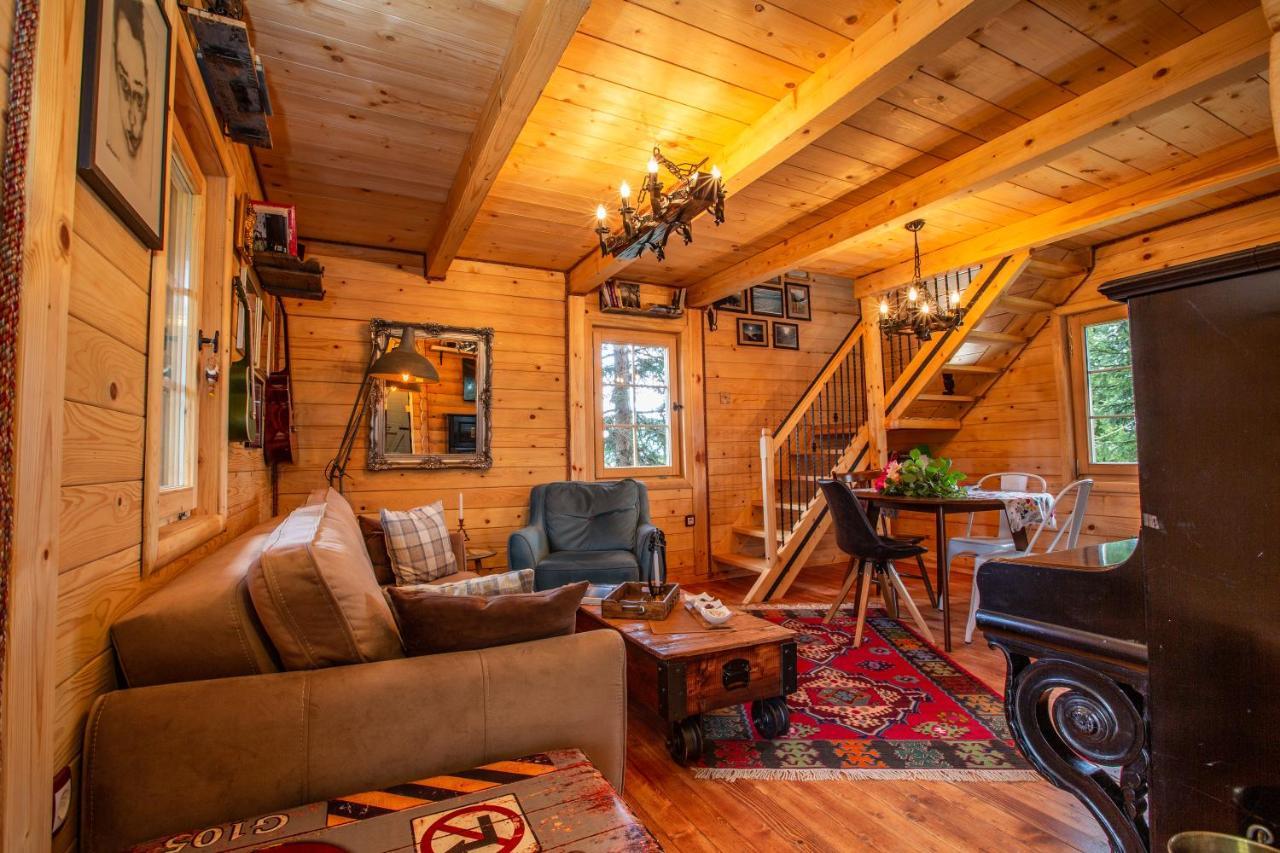 Villa Piccolo Orso Žabljak Exteriér fotografie